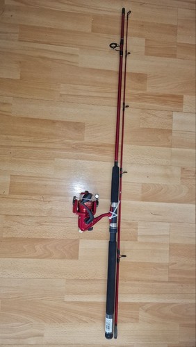 Shakespeare firebird combo - shakespeare, xt