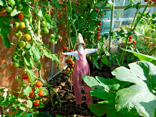Scarecrow 72cm for gardens - 72cm,