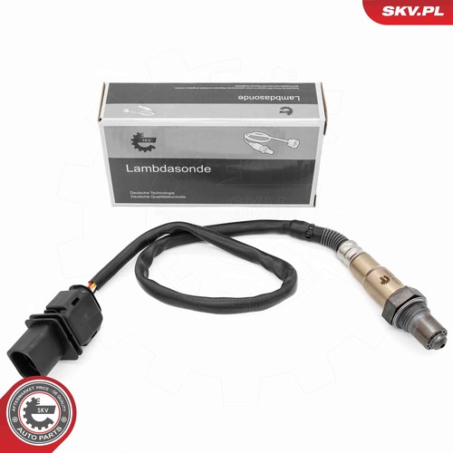 09skv200 esen skv - skv, oxygen