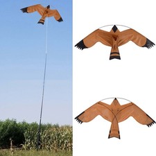 Bird Flying Kite Eagle Huge