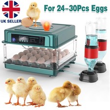 24/36x Eggs Fully Automatic