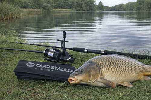 Carp fishing 8ft stalker rod - fishing,