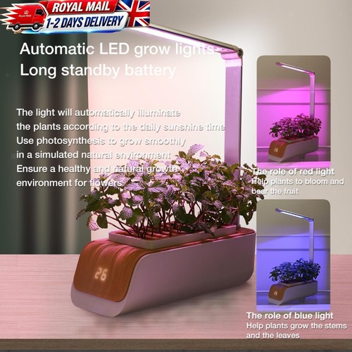 Indoor herb garden starter - herb, kit