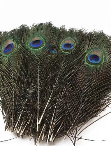 Fly tying peacock - fly, feathers