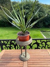 Vintage French Beautiful Brass