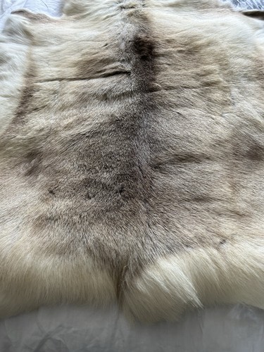 Reindeer hide rug scandinavian - reindeer,