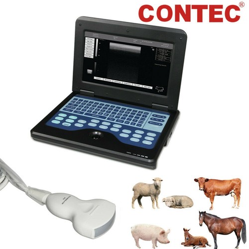 Contec veterinary ultrasound - contec,