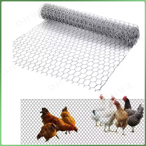 Galvanised chicken wire mesh - galvanised,