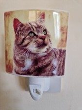 Night Light*Old Tupton Ware Plug In* Hand Painted *Tabby Cat* New