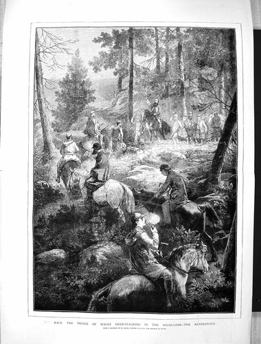 Old 1873 prince wales deer - prince,
