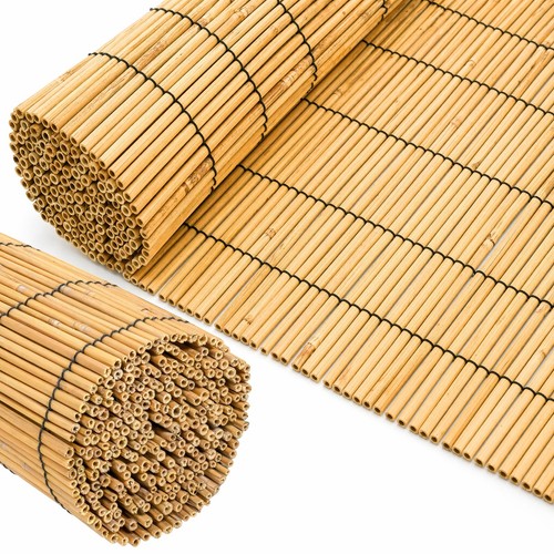 Traders natural bamboo reed - sg,