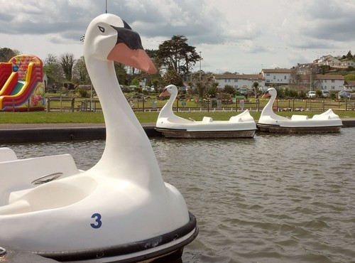 Photo 6x4 swan pedalos - photo,