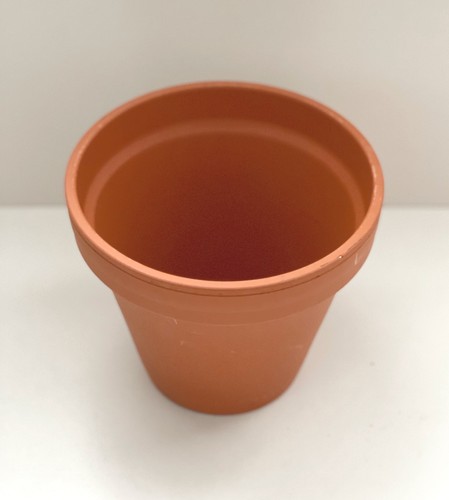 Traditional terracotta plant - traditional,