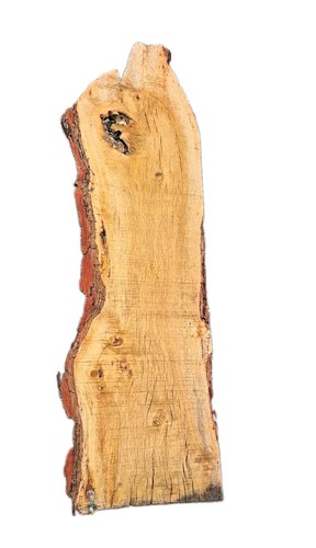 English oak live - edge, waney
