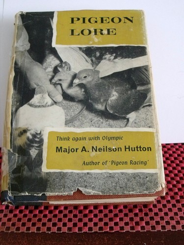 Vintage hardback book - book,, pigeon
