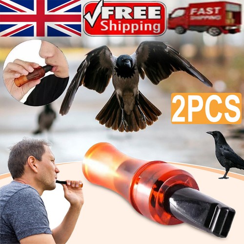 Outdoor crow rook call - crow,