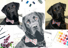 Personalised bespoke paint by