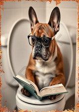 French Bulldog On Toilet
