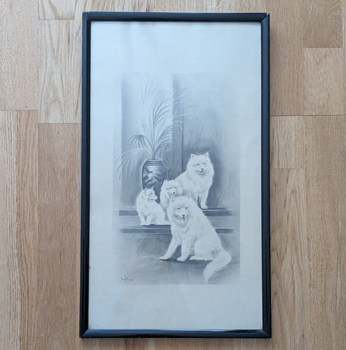 Herbert wynn hellings dog - wynn,