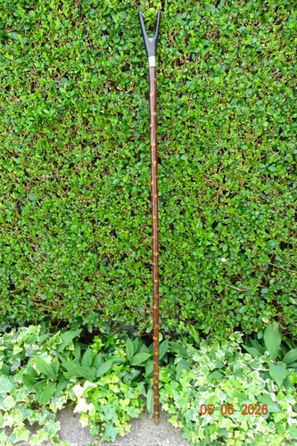Blackthorn walking stick - , with