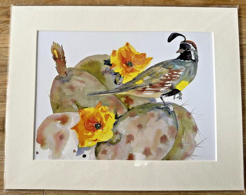 June jurcak gambel - quail, on