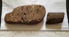 Large Wealden Silicified