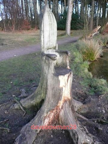 Photo tree seat talkin - ,