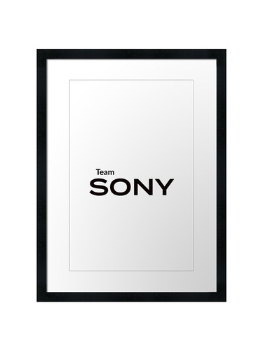 Team sony framed wall art - sony,
