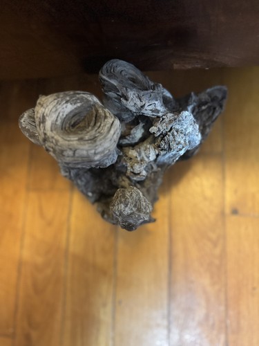 Approx round natural - 12,
