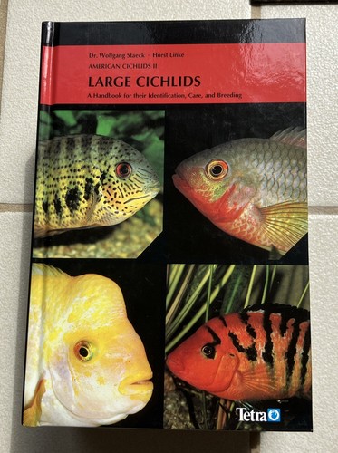 American cichlids large - cichlids, ii: