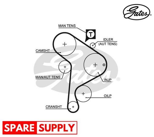 Timing belt for cabrio - timing,