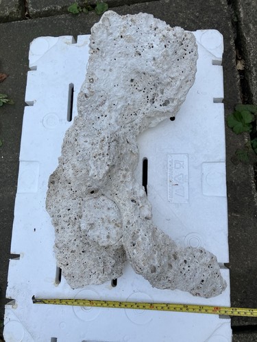 Pl2 stunning dry tonga plate - stunning,