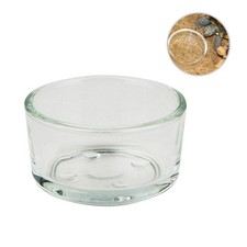  4 Pcs Corn Snake Water Bowl Crested Gecko Feeding Cups Cricket Feeder Reptile