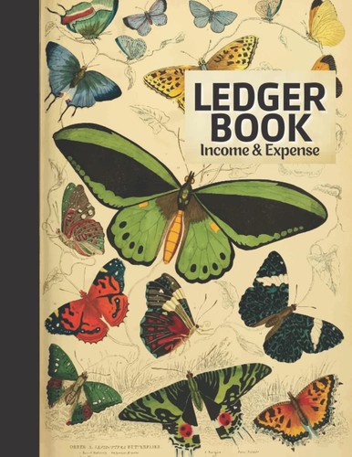 Ledger book income and - ledger, book: