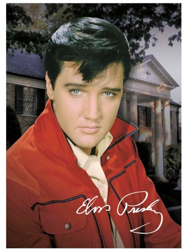 Elvis presley photo - elvis, with