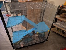 Zeno 3 empire  Rat Gerbil cage