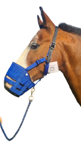 Ultimate grazing muzzle reduce - ultimate,