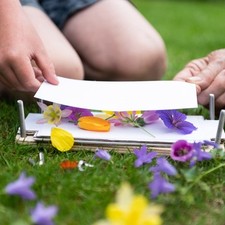 The Den Kit Company The Flower