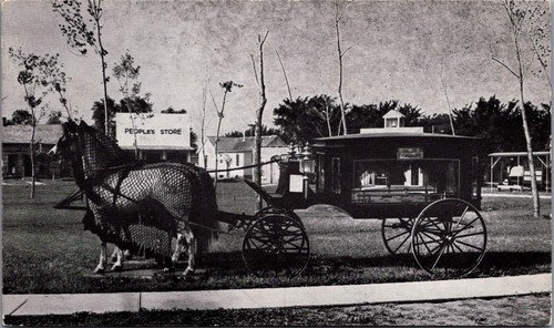 1890 horse drawn hearse - 1890,