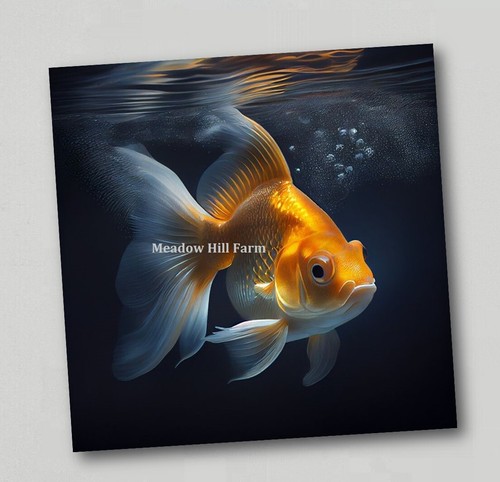 Fridge magnet goldfish - magnet,