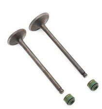 VALVE SET INTAKE EXHAUST &