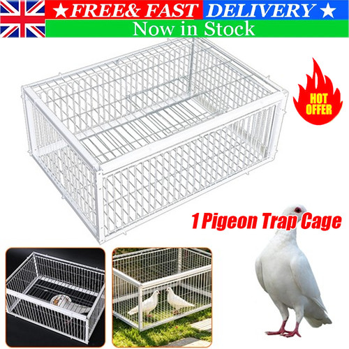 Portable pigeon trap - trap, cage