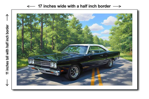 1969 plymouth road runner - runner,