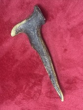 FANCY RED DEER ANTLER 155g