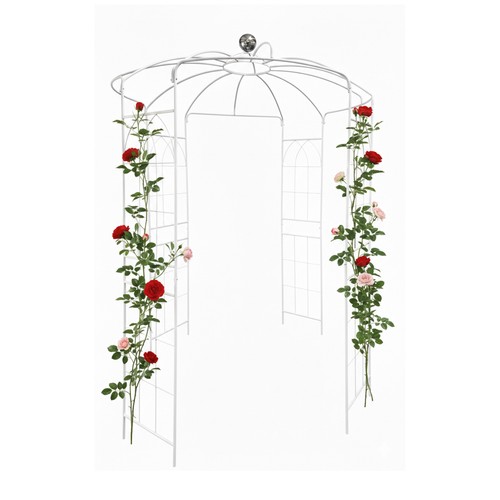 Rose gazebo arch plant - rose,