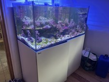 Red sea reefer 425xl marine - sea,