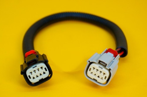 Tail light wiring - wiring, loom