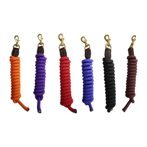 Long horse lead - horse,
