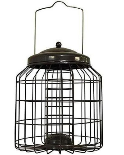 Squirrel proof hanging bird - proof,