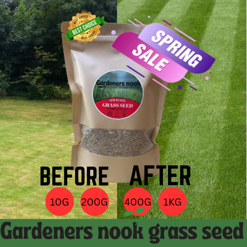 Grass lawn seed - lawn, hard